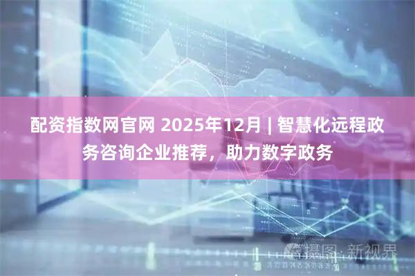 配资指数网官网 2025年12月 | 智慧化远程政务咨询企业推荐，助力数字政务