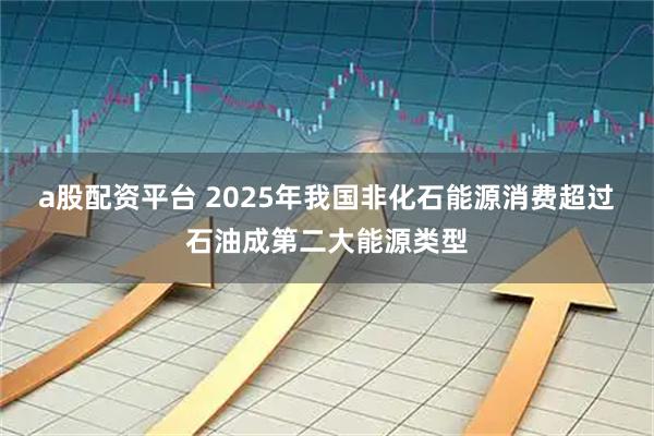 a股配资平台 2025年我国非化石能源消费超过石油成第二大能源类型